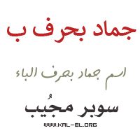 اسم اللعبة بلد نبات حيوان جماد أو مدينة يوتيوب