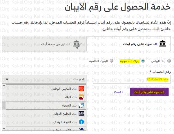 معرفة رقم الحساب من رقم IBAN الخاص بالبلد رقم حساب الدولة من IBAN كيفية معرفة رقم الحساب من رقم IBAN الخاص بالبلد Albilad Super Mujib