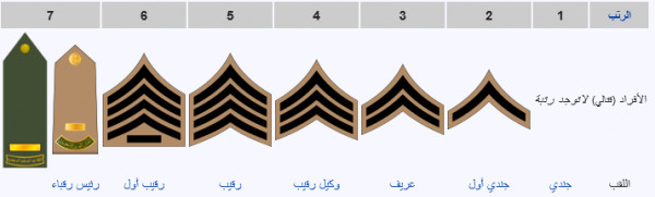 الافراد رتب الرتب العسكرية