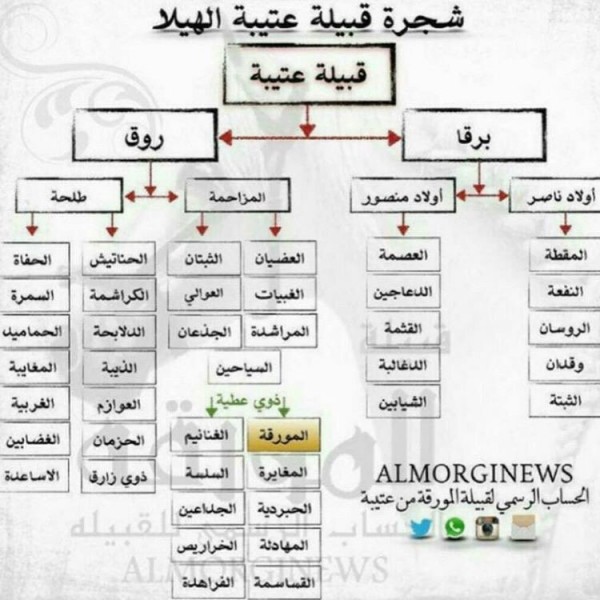 العالي وش يرجع العالي من وين العالي وش يرجعون العالي من اي قبيله نسب العالي سوبر مجيب